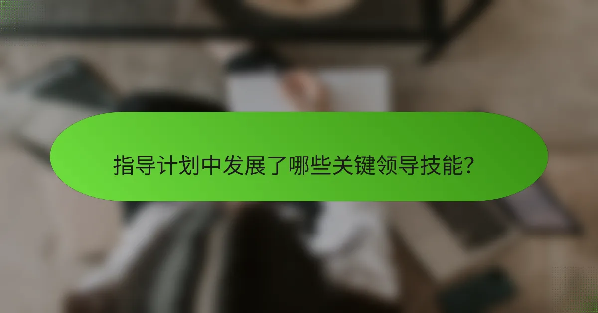 指导计划中发展了哪些关键领导技能？