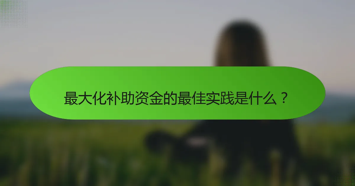 最大化补助资金的最佳实践是什么？